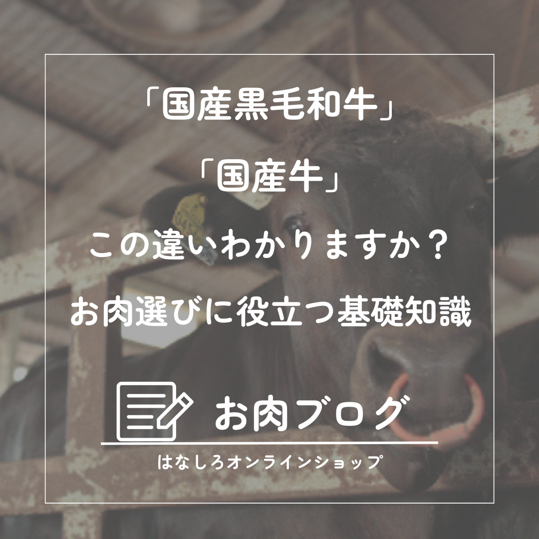 「国産牛」と「黒毛和牛」の違い、知っていますか?― お肉選びに役立つ基礎知識