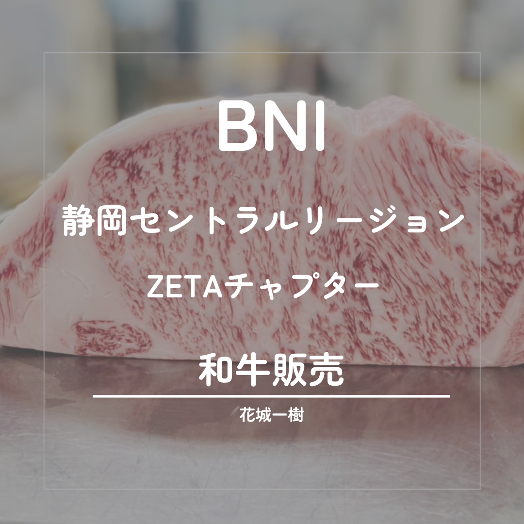 BNI略歴シート